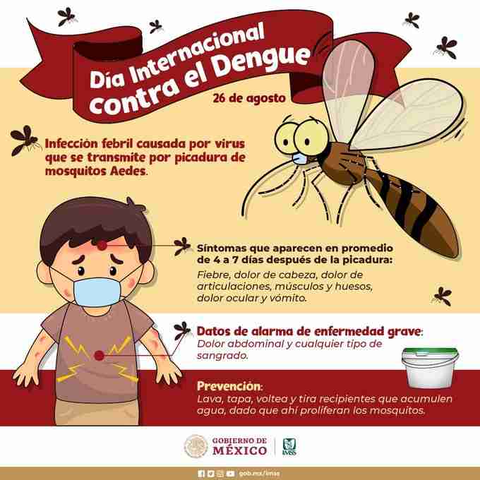 Tamaulipas entre 6 estados con más dengue en el país