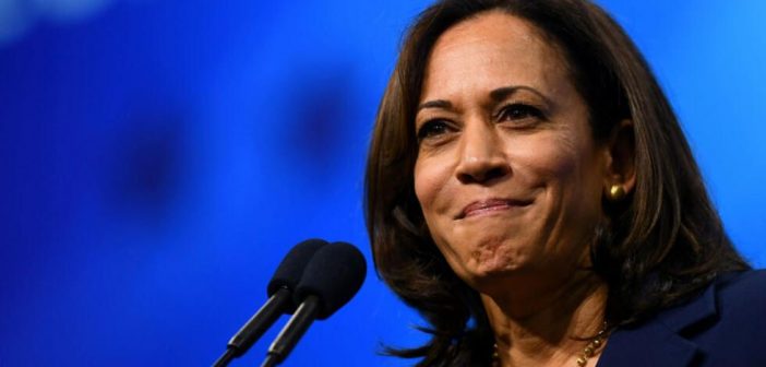 Voto Latino apoya a Kamala Harris haciendo realidad la unidad nacional del Partido Democrata