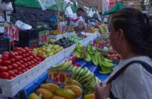 TAMAULIPAS,ENTRE LOS ESTADOS DE MAYOR  AUMENTO EN PRECIOS DE ALIMENTOS, RENTA DE VIVIENDAS Y TRANSPORTE URBANO