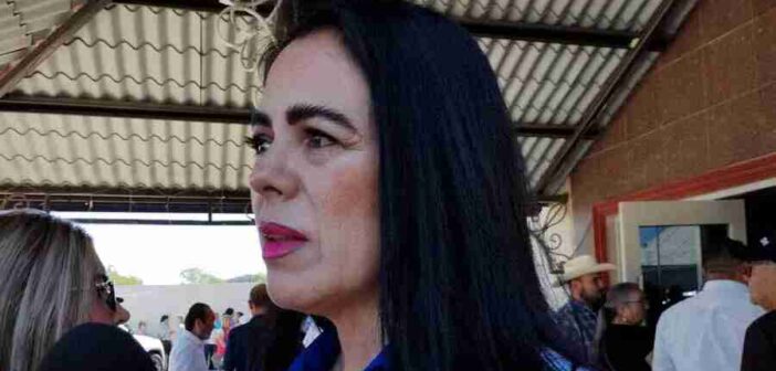 Arremete diputada contra gobierno federal por falta de medicamentos en hospitales y clínicas de Tamaulipas