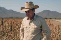 POR LA FALTA DE APOYO CREDITICIO E INSOSTENIBLE MERCADO DE COMPRA, AGRICUTORES DEJAN DE SEMBRAR MAIZ Y SORGO, EN TAMAULIPAS
