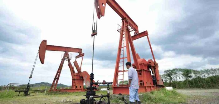 FRENTES    POLITICOS