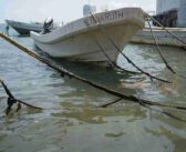 Afecta a más de 20 mil pescadores derrame en Veracruz